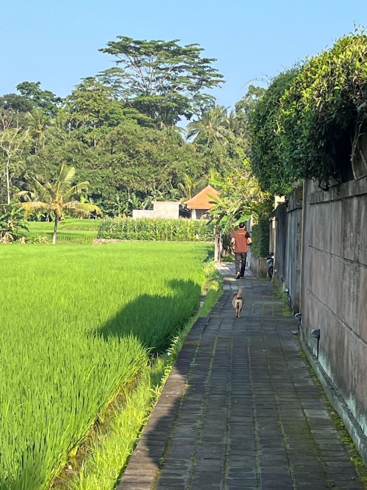 Uma Padi Villa Убуд Экстерьер фото