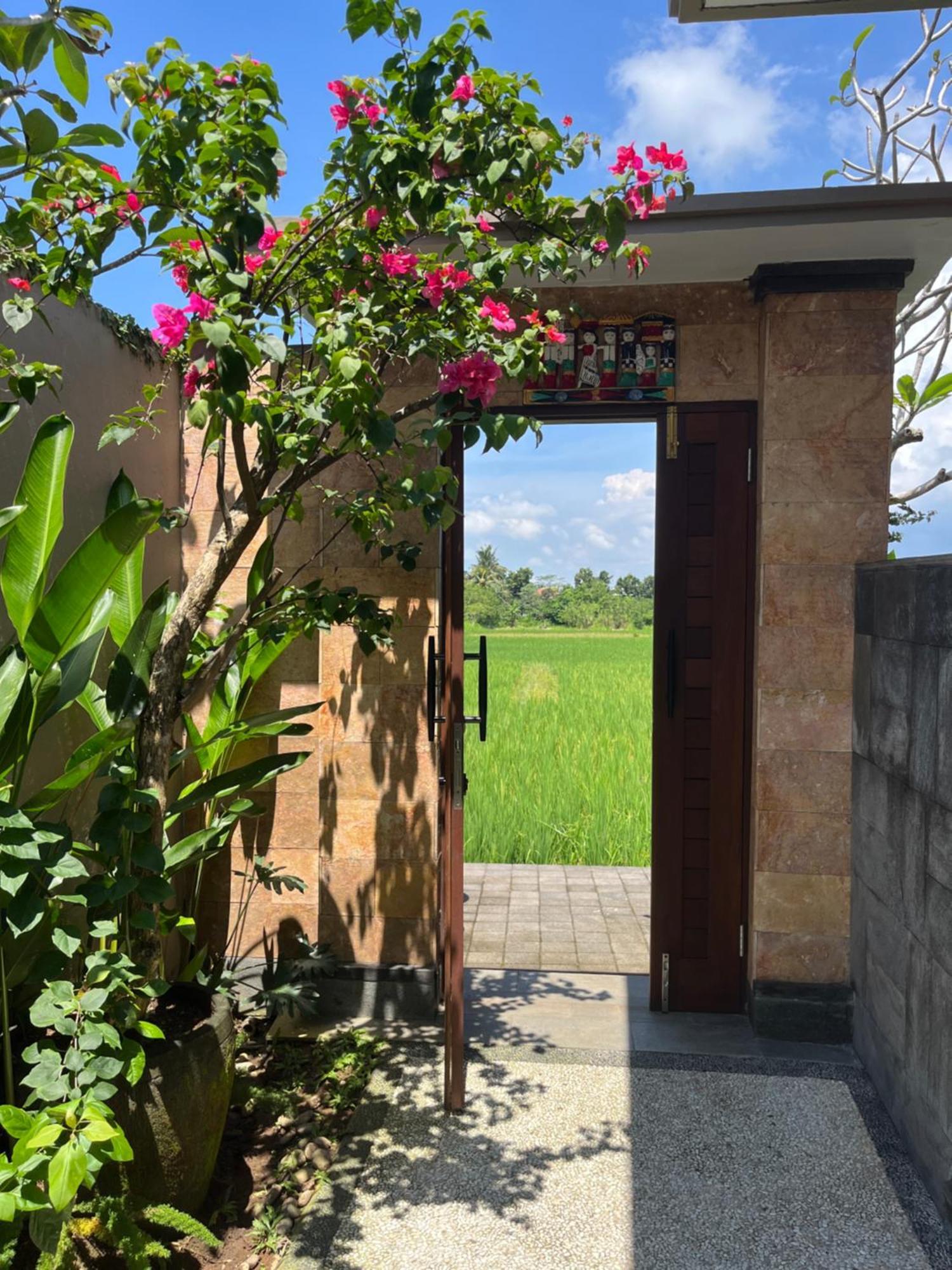 Uma Padi Villa Убуд Экстерьер фото