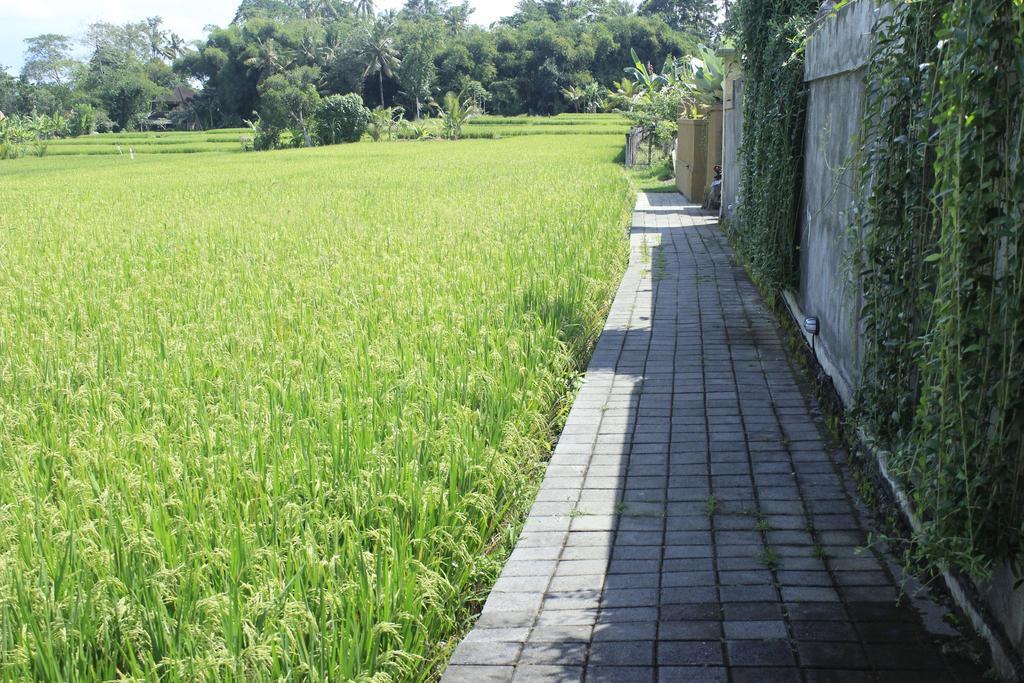 Uma Padi Villa Убуд Экстерьер фото